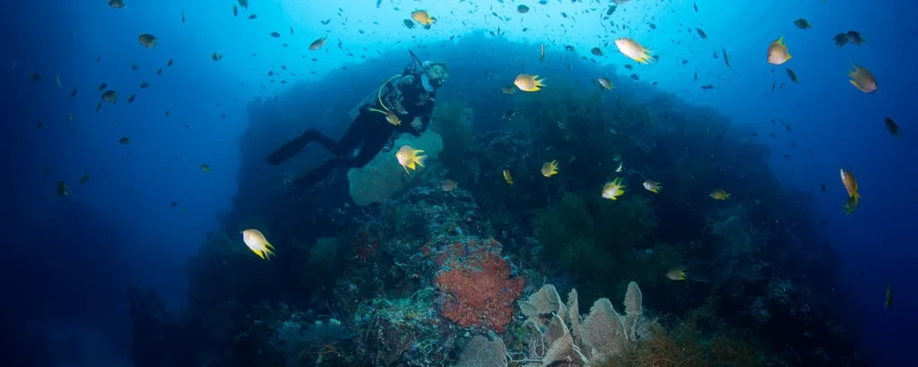Diving in Menjangan Island