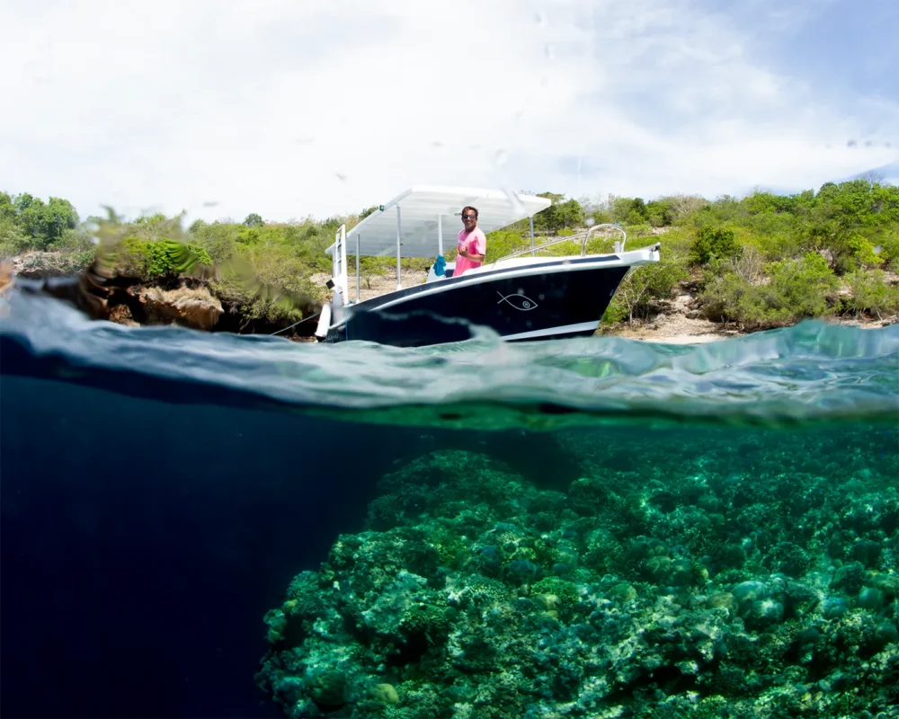 Shallow reef at Menjangan Island with Easy Divers boat (image credit: Ken Findlay)