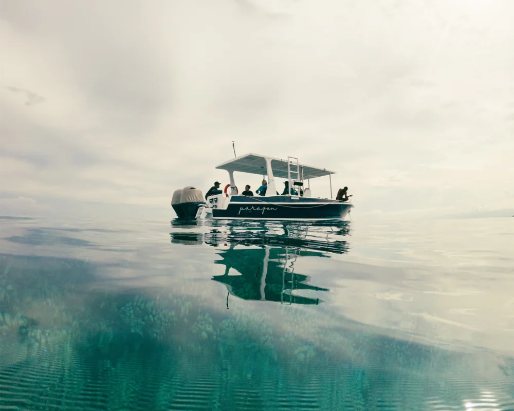 Boat Diving in Pemuteran