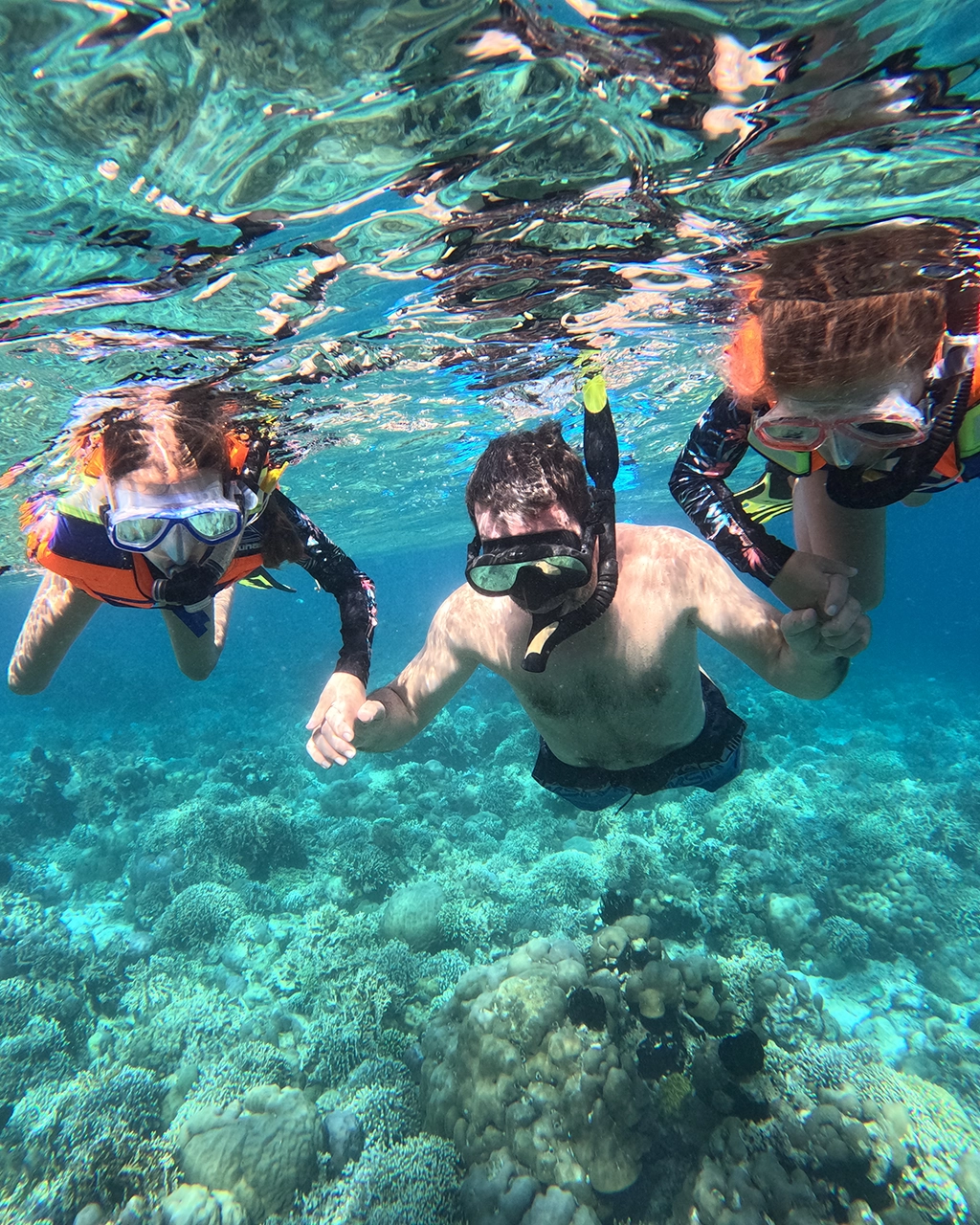Snorkeling trip to Menjangan Island