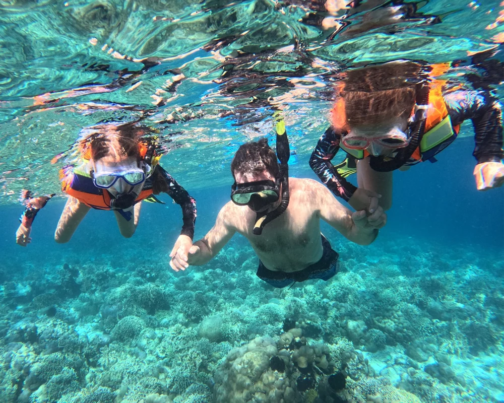 Snorkeling trip to Menjangan Island