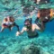 Snorkeling trip to Menjangan Island