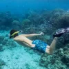Snorkeling trip to Menjangan Island