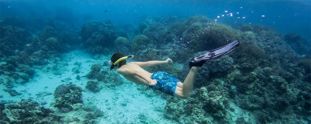 Snorkeling trip to Menjangan Island