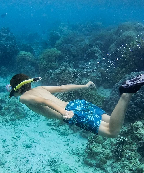 Snorkeling trip to Menjangan Island