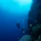 Vertical coral wall at Menjangan Island (image credit: Ken Findlay)