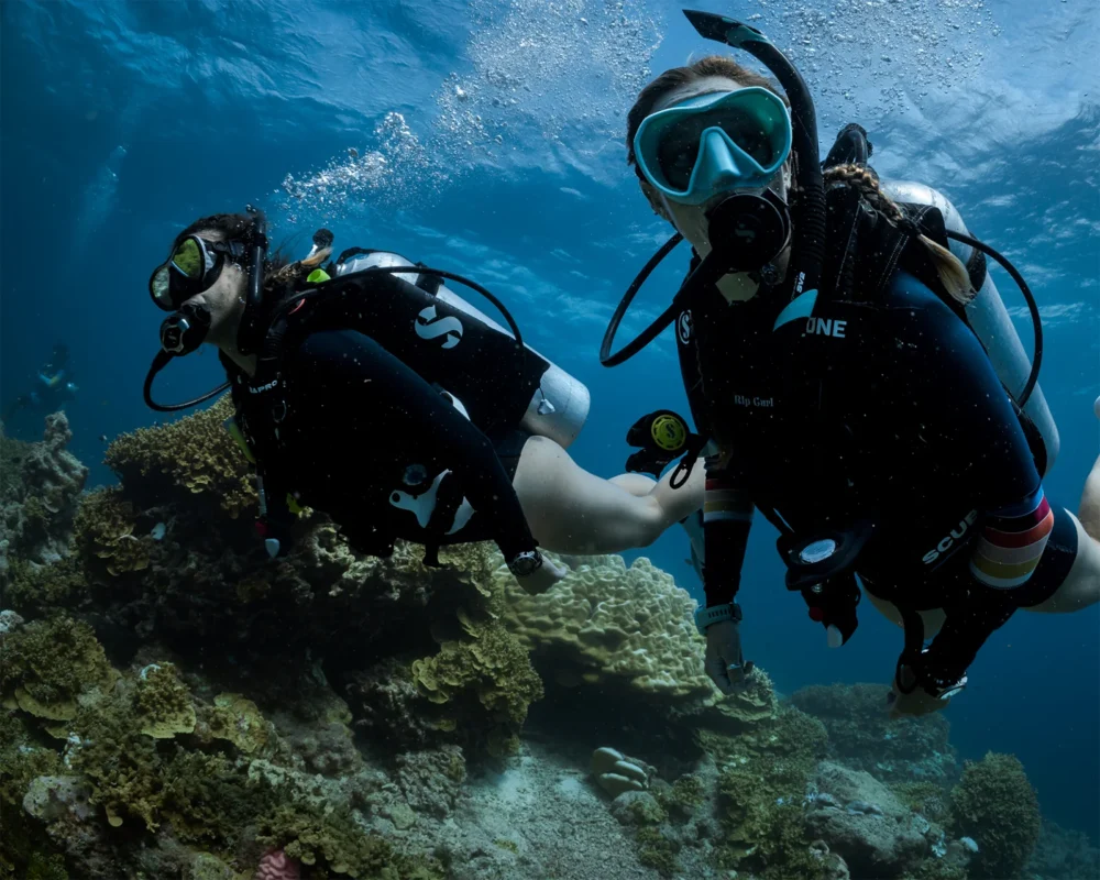 PADI Divemaster training in Pemuteran