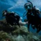 PADI Divemaster training in Pemuteran
