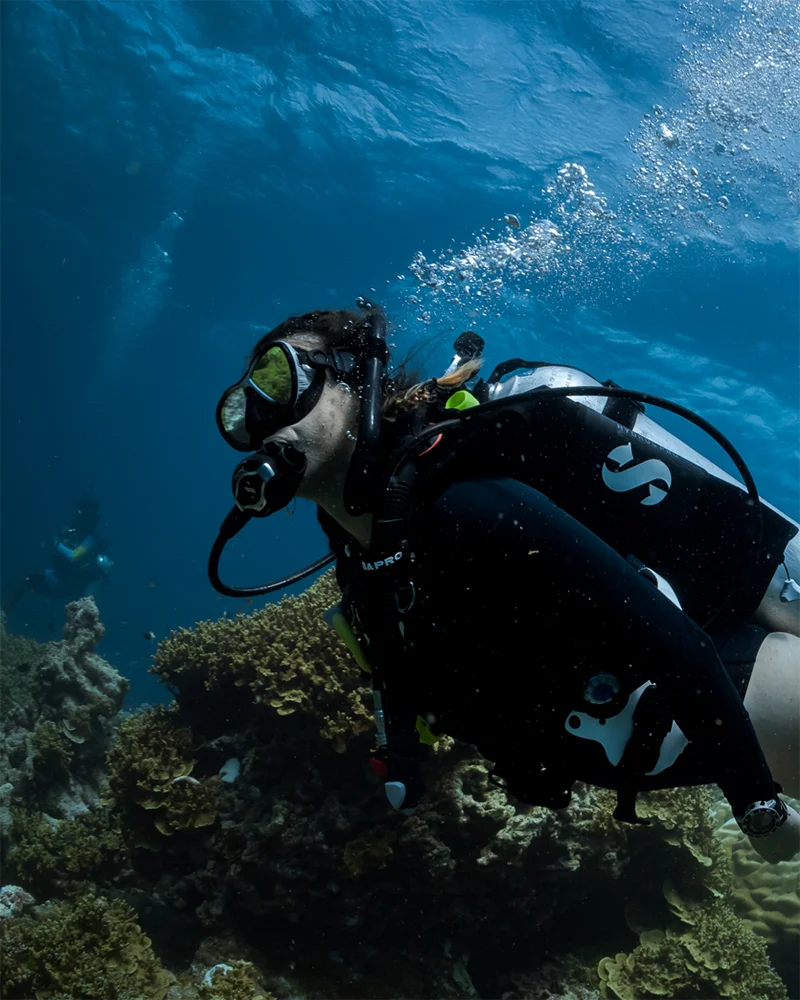 PADI Divemaster Program