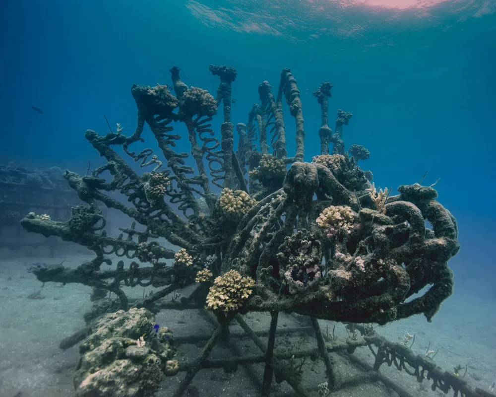 BioRock coral restoration structure in Pemuteran (image credit: Peter Vogt)